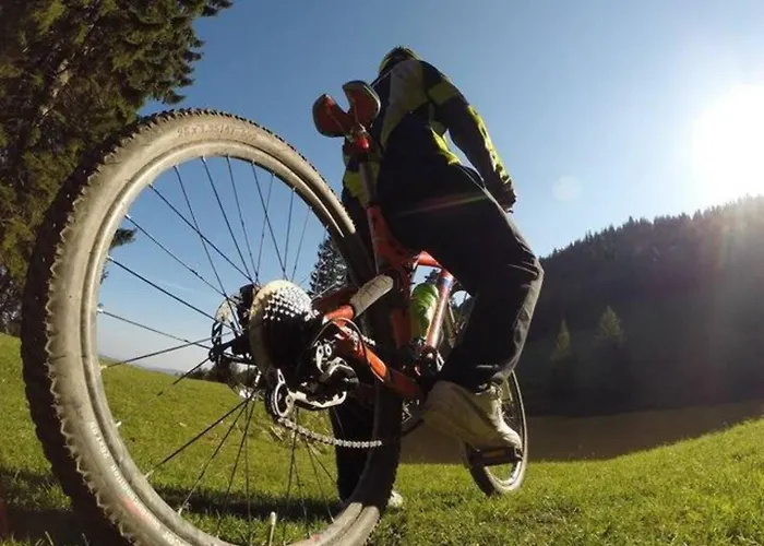 Domaine De La Belle Verte Le Bo (Calvados)